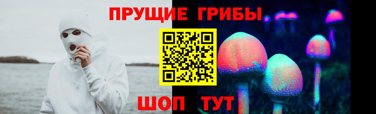Псилоцибиновые грибы ЛСД Приморско-Ахтарск
